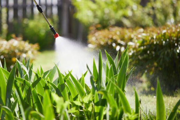 24/7 Emergency Mosquito Control experts in Lakeland, TN